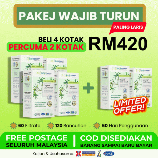 Pakej Wajib Turun (6 Kotak Biokenaf) Free Bengkung + Sugarcut